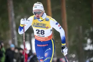 Линн Сван
