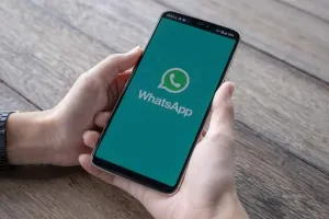 WhatsApр