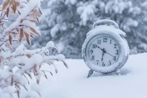 zymovyi chas