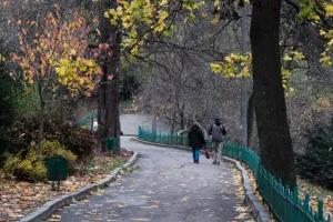 Погода