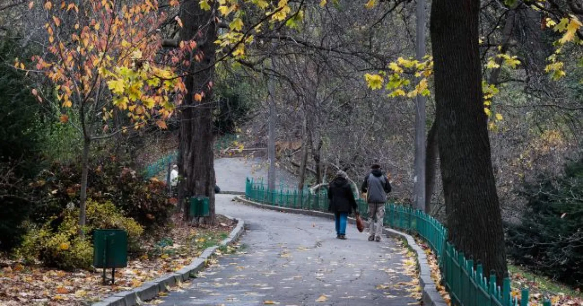 Погода