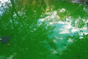 Вода