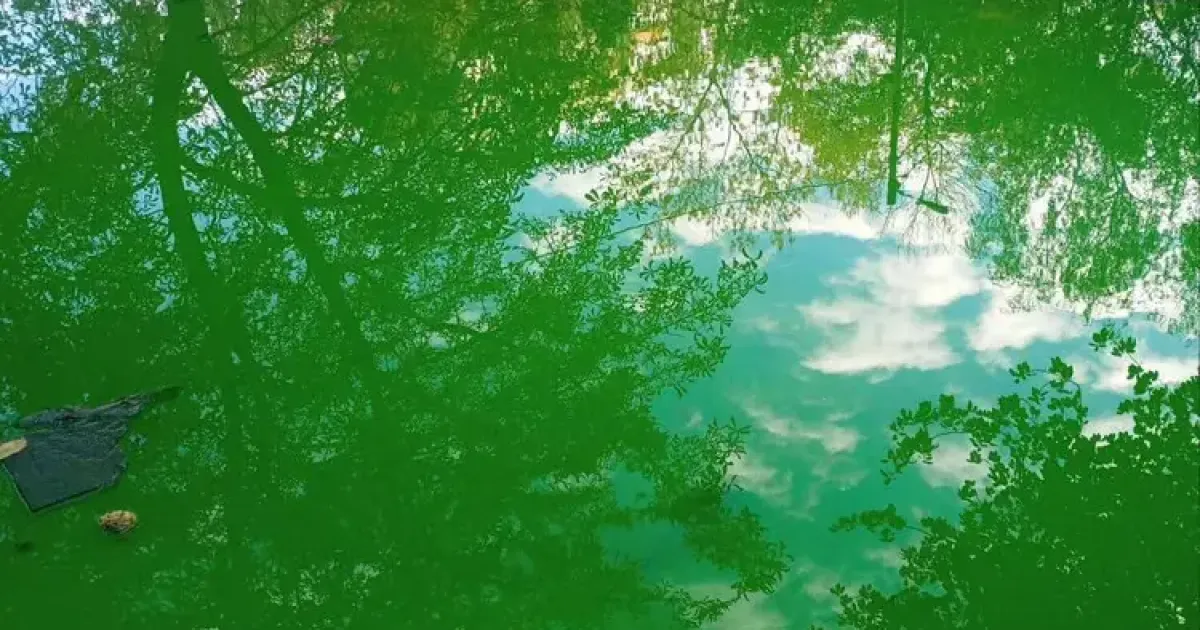 Вода