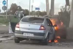 Бавовна