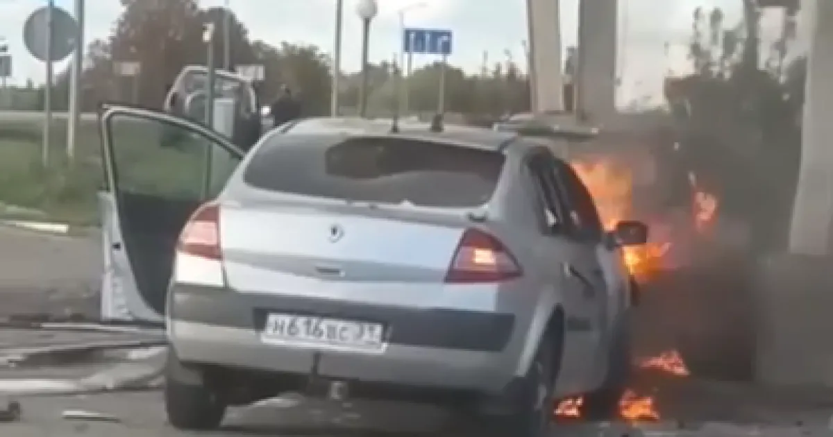 Бавовна