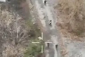 пленные сдаются