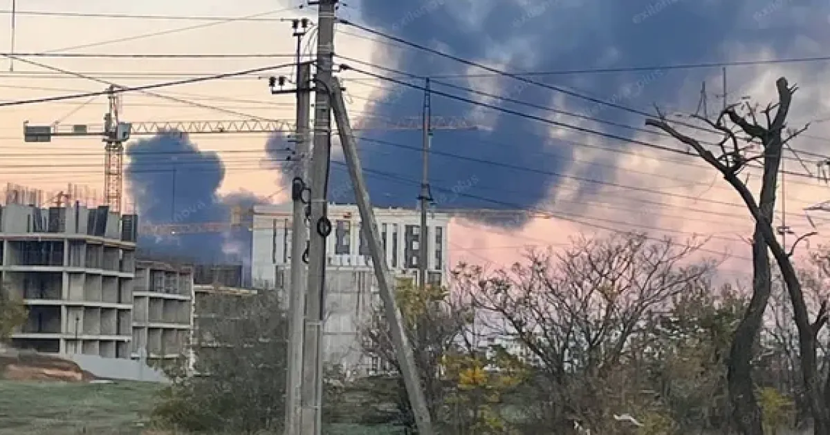 Бавовна