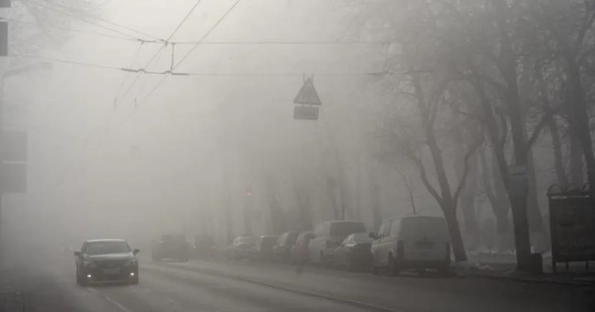 туман