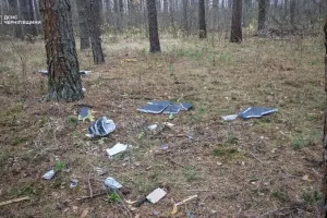 Дрон впав у лісі - Дрон упал в лесу