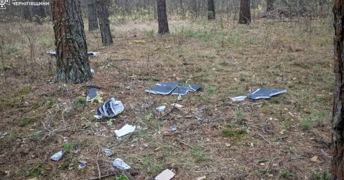 Дрон впав у лісі - Дрон упал в лесу
