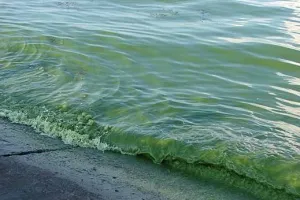 Черное море
