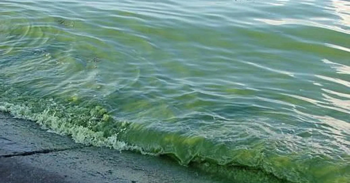 Черное море