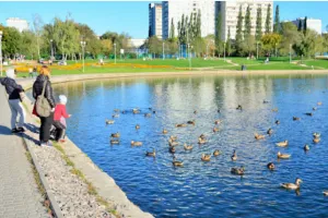 Гольяновский пруд, Москва