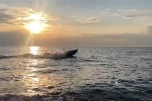 дрон Sea Baby