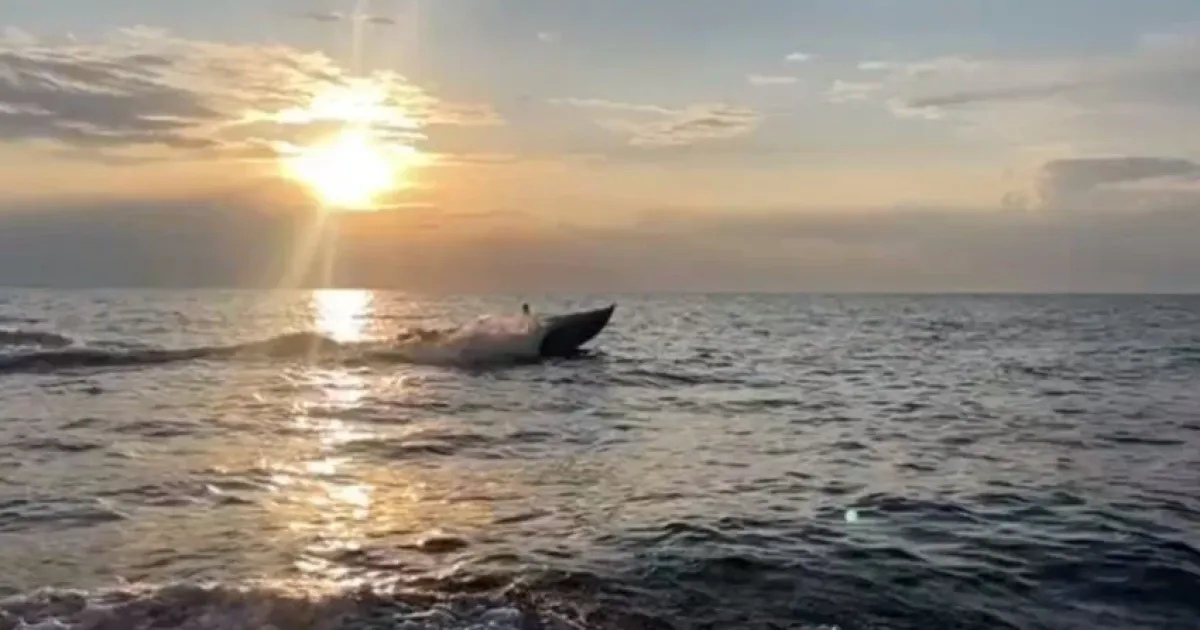 дрон Sea Baby