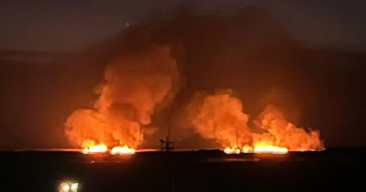Бавовна в рф