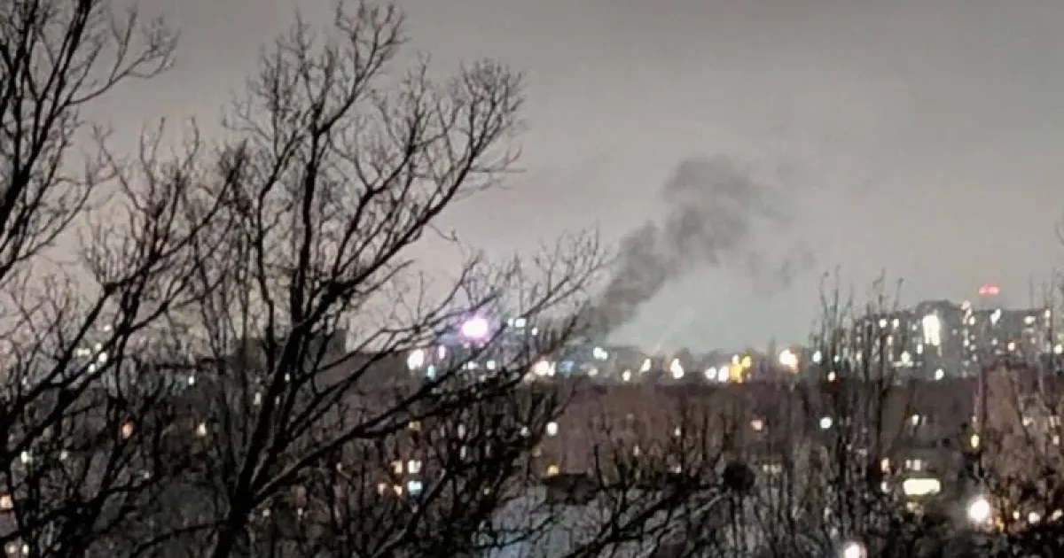 Бавовна в РФ