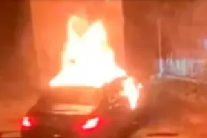 поджог в Вене