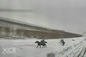 кавалерия оккупантов