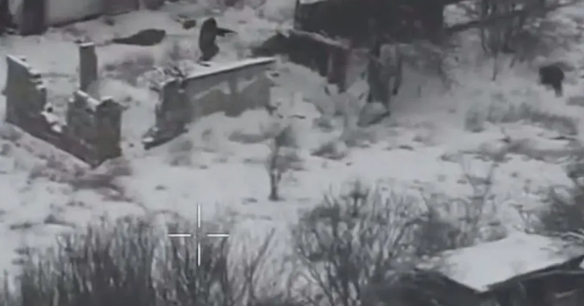 бой, Гуляйполе