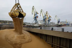 Зерно
