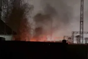Бавовна