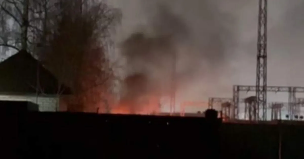 Бавовна
