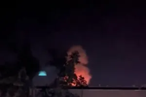 Бавовна