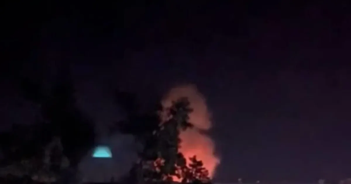 Бавовна