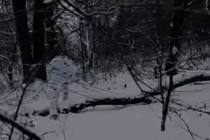 война