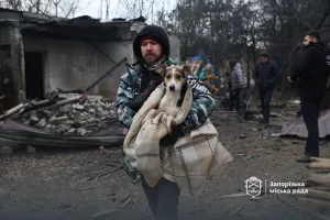 Притулок для тварин - Приют для животных