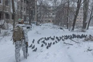 война