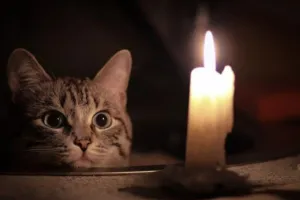 отключение света