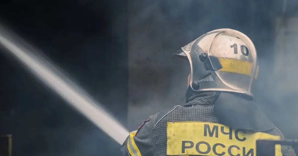 Бавовна в РФ