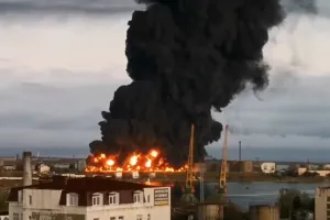 Бавовна
