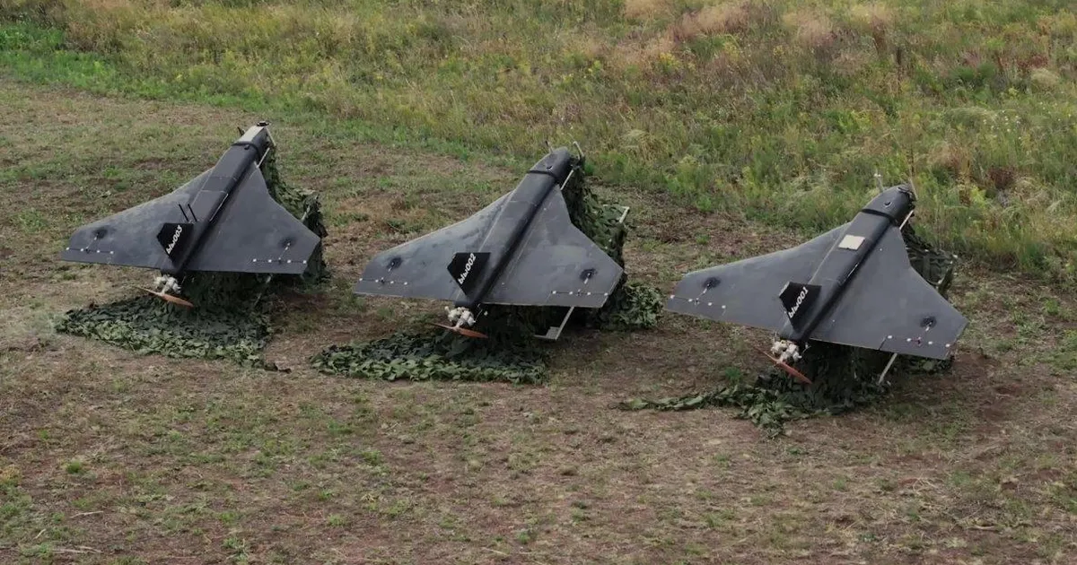 дрон гербера