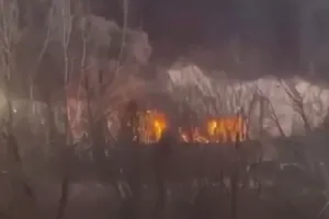 Бавовна в РФ