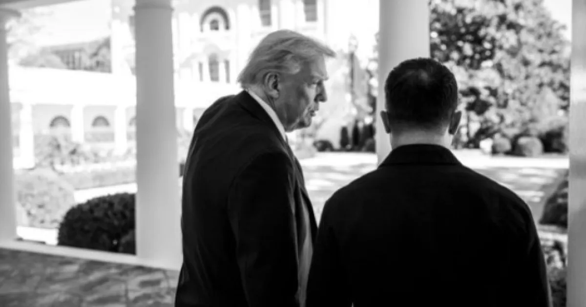 Трамп, Зеленский