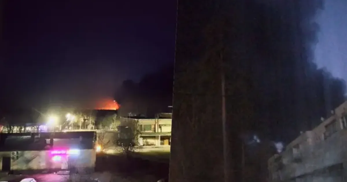 Бавовна в РФ