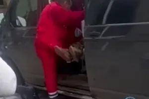 vbyvstvo