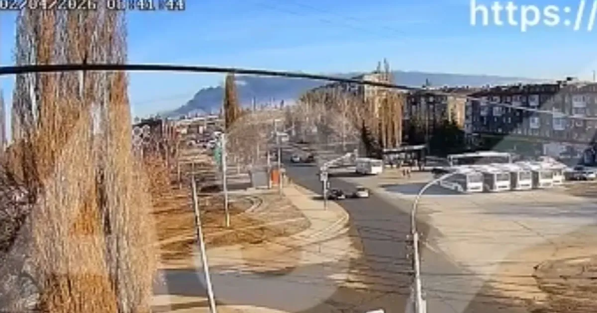 Бавовна в РФ