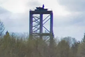 башня ПВО с Панцирем