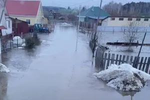 pavodok