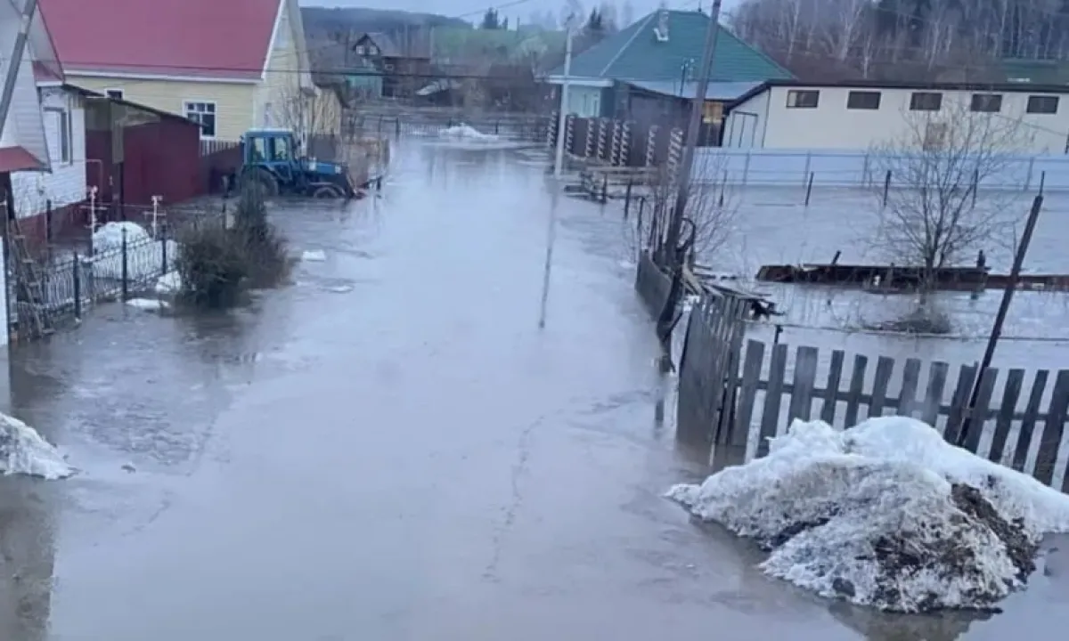 pavodok