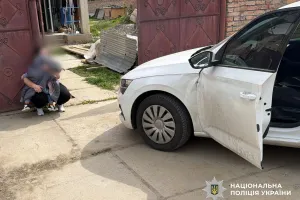 vykradennya