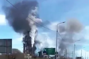 Бавовна в РФ