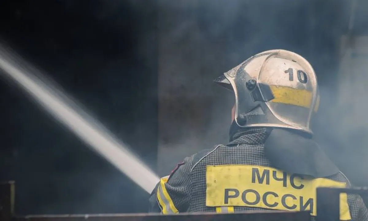 Бавовна в РФ