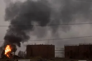 Бавовна в РФ