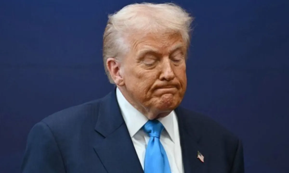Tramp