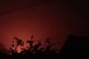 Бавовна